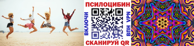 Псилоцибиновые грибы мицелий закладка Сокол