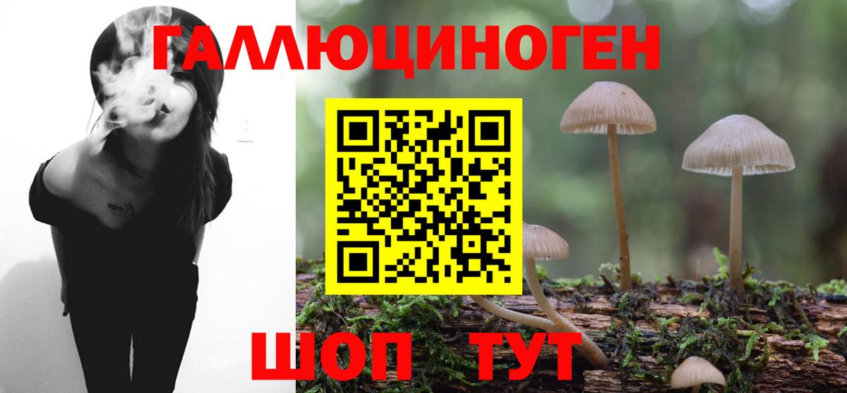 Псилоцибиновые грибы Psilocybe  Вход с VPN  Сокол  наркотики  Псилоцибиновые грибы ЛСД 